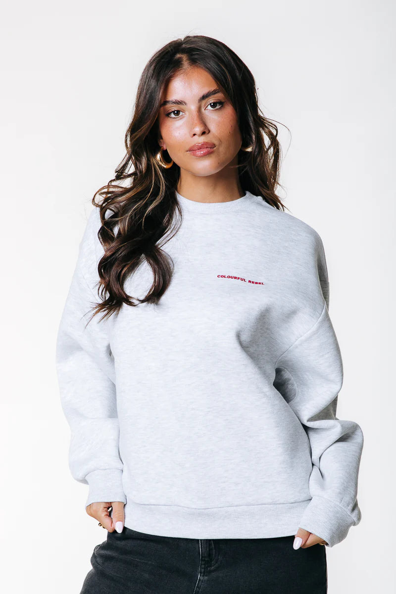 Flower Square Dropped Shoulder Sweat