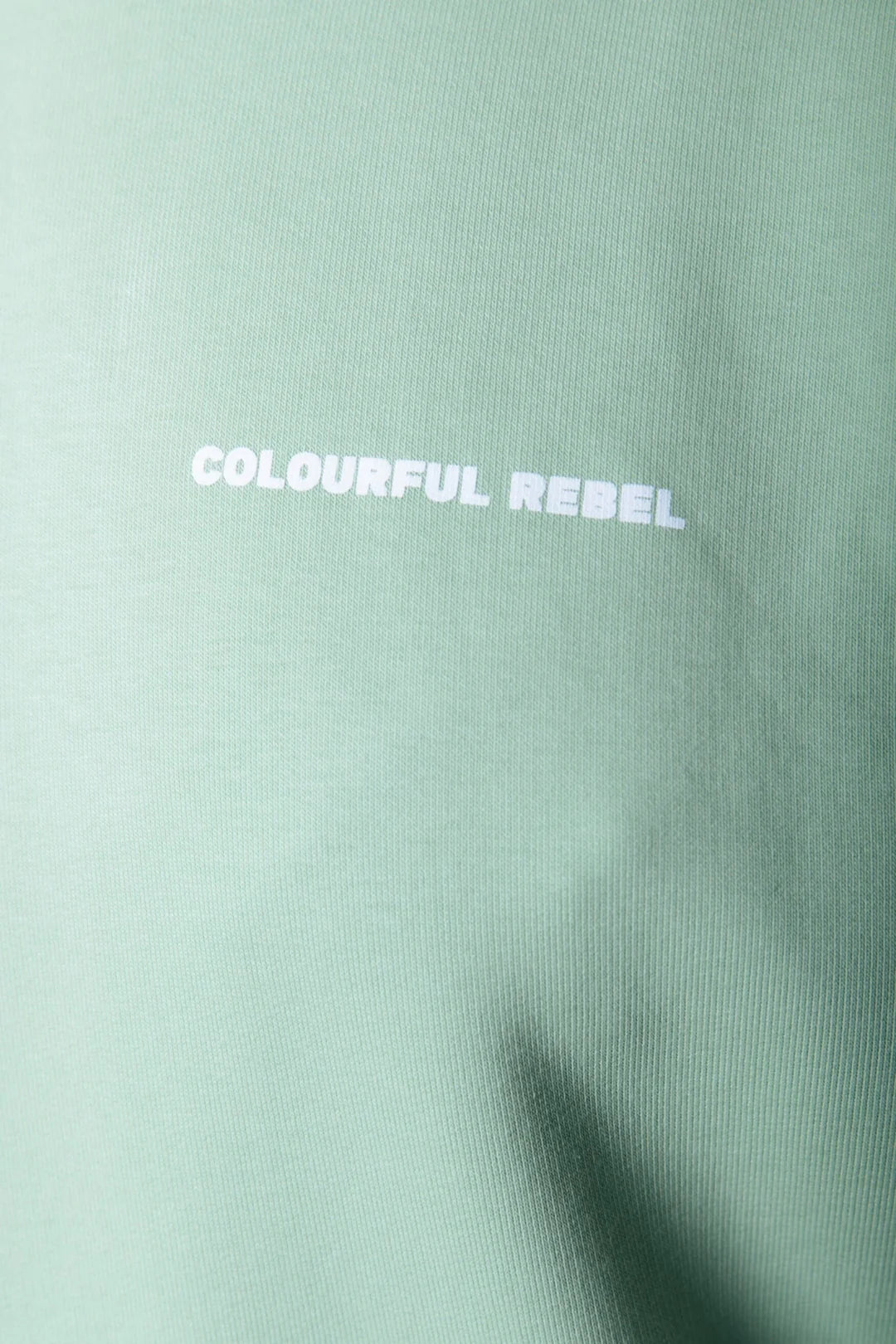 CR Back Logo Dropped Shoulder Hoodie Soft Green
