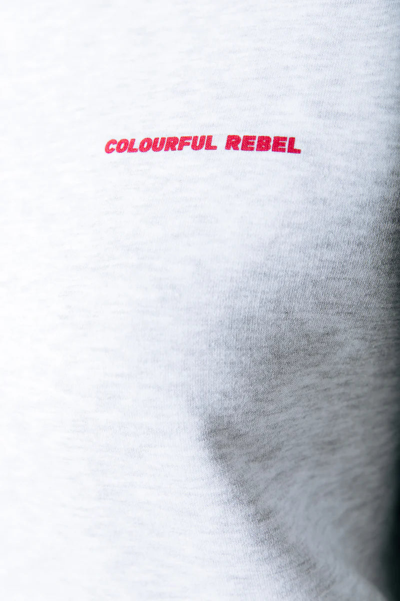 Flower Square Dropped Shoulder Sweat
